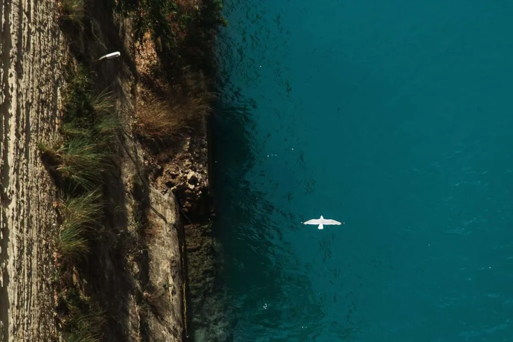 Mila [AG]: Corinth Canal Crossing, East to West, photo 11